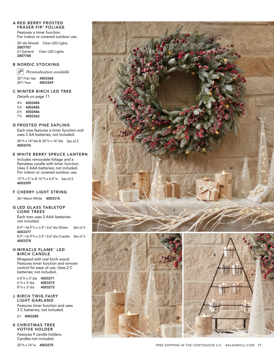 Balsam Hill - 2020 Holiday 2 - 6' Berry Frosted Fraser Fir Artificial  Christmas Garland