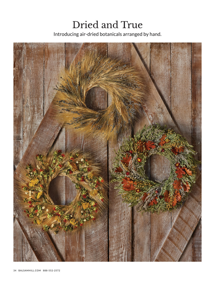 Balsam Hill - 2023 Fall 2 - Fairytale Pumpkin Wreath