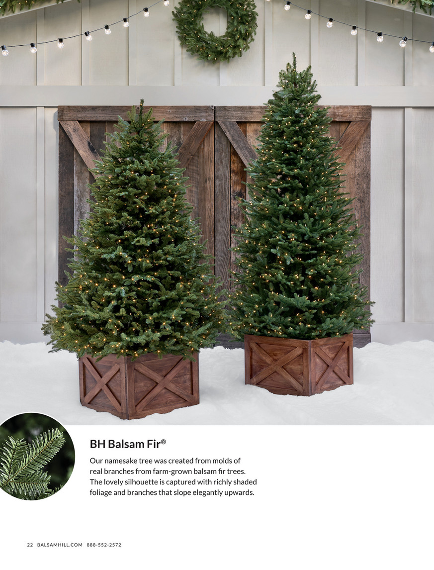 Balsam Hill - 2023 Fall 2 - Vermont White Spruce Narrow