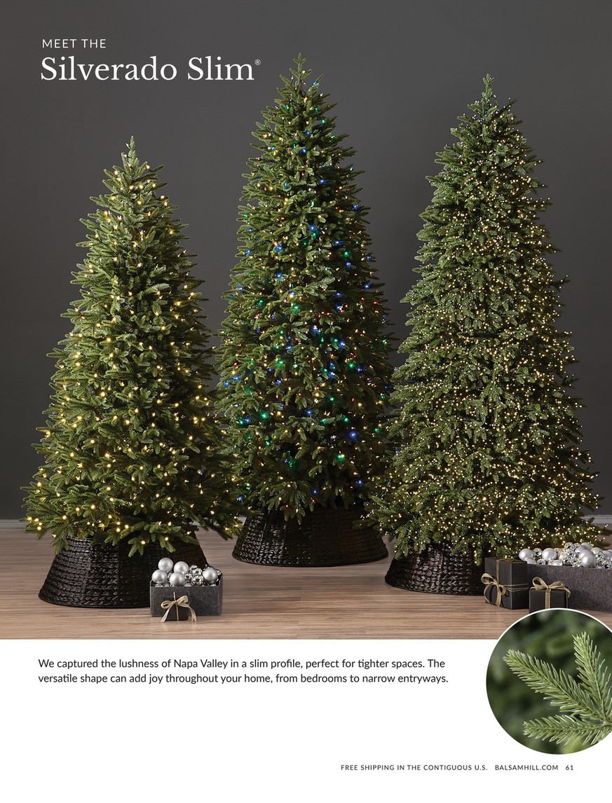 Balsam Hill - 2022 Fall 2 - 10' Vermont White Spruce™ Prelit