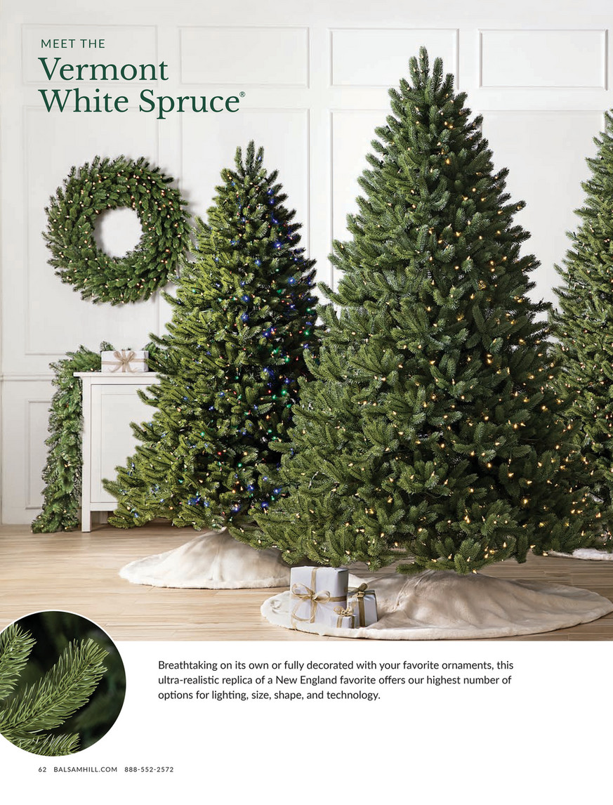 Balsam Hill - 2023 Holiday 1 - Frosted Alpine Balsam Fir