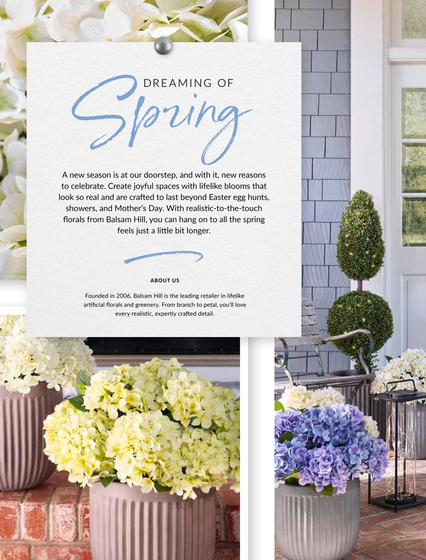 Balsam Hill - 2024 Spring 1 - 24