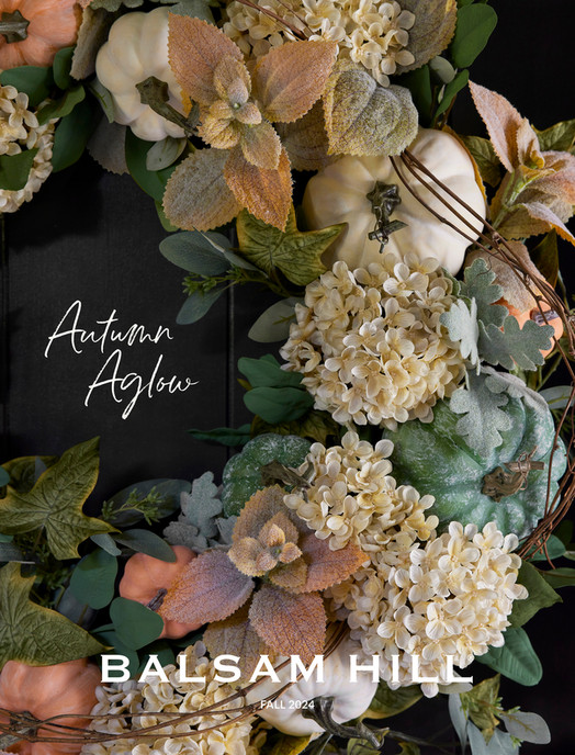 Balsam Hill 2024 Fall 1 Page 1