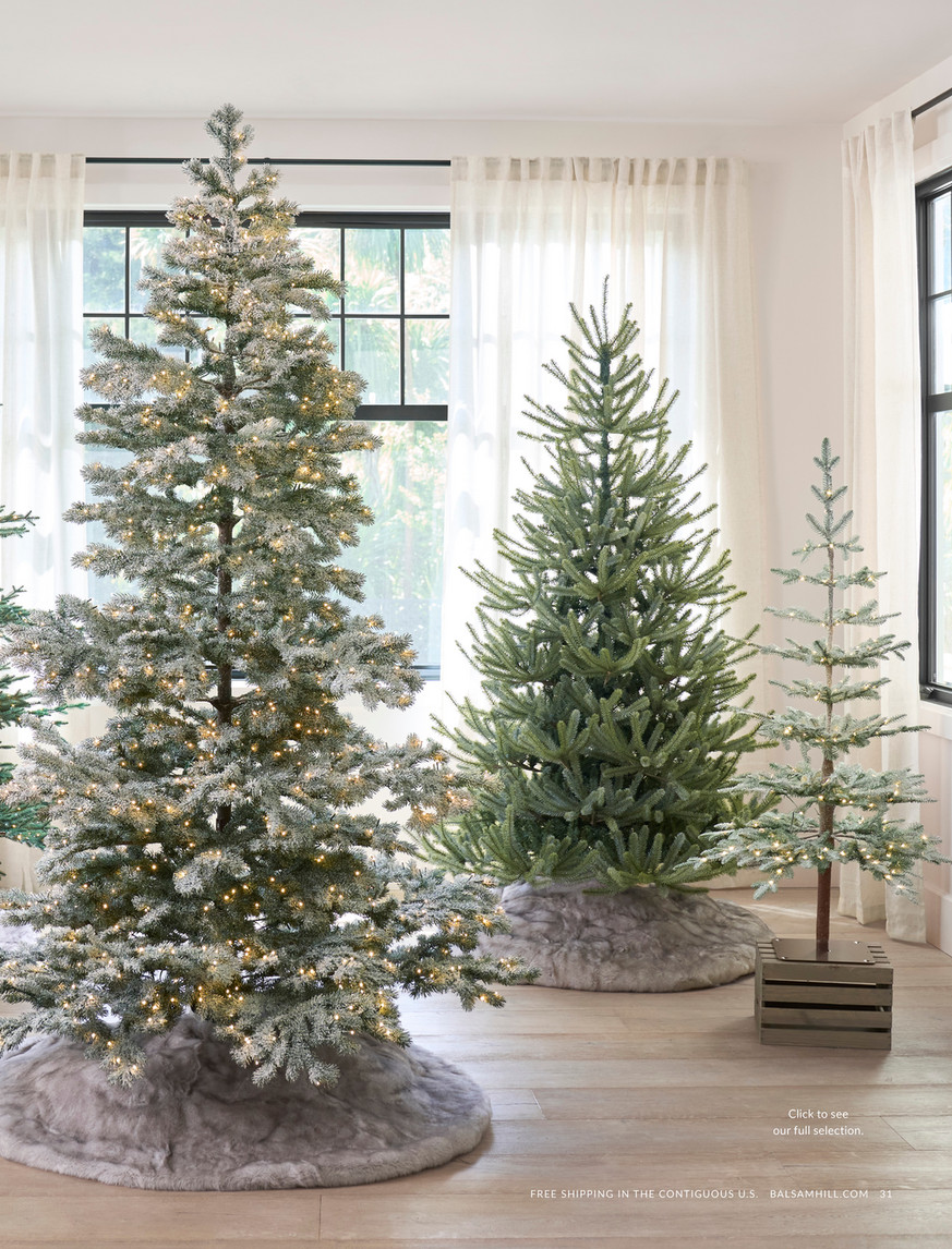 Balsam Hill - 2024 Fall 1 - Alpine Balsam Fir