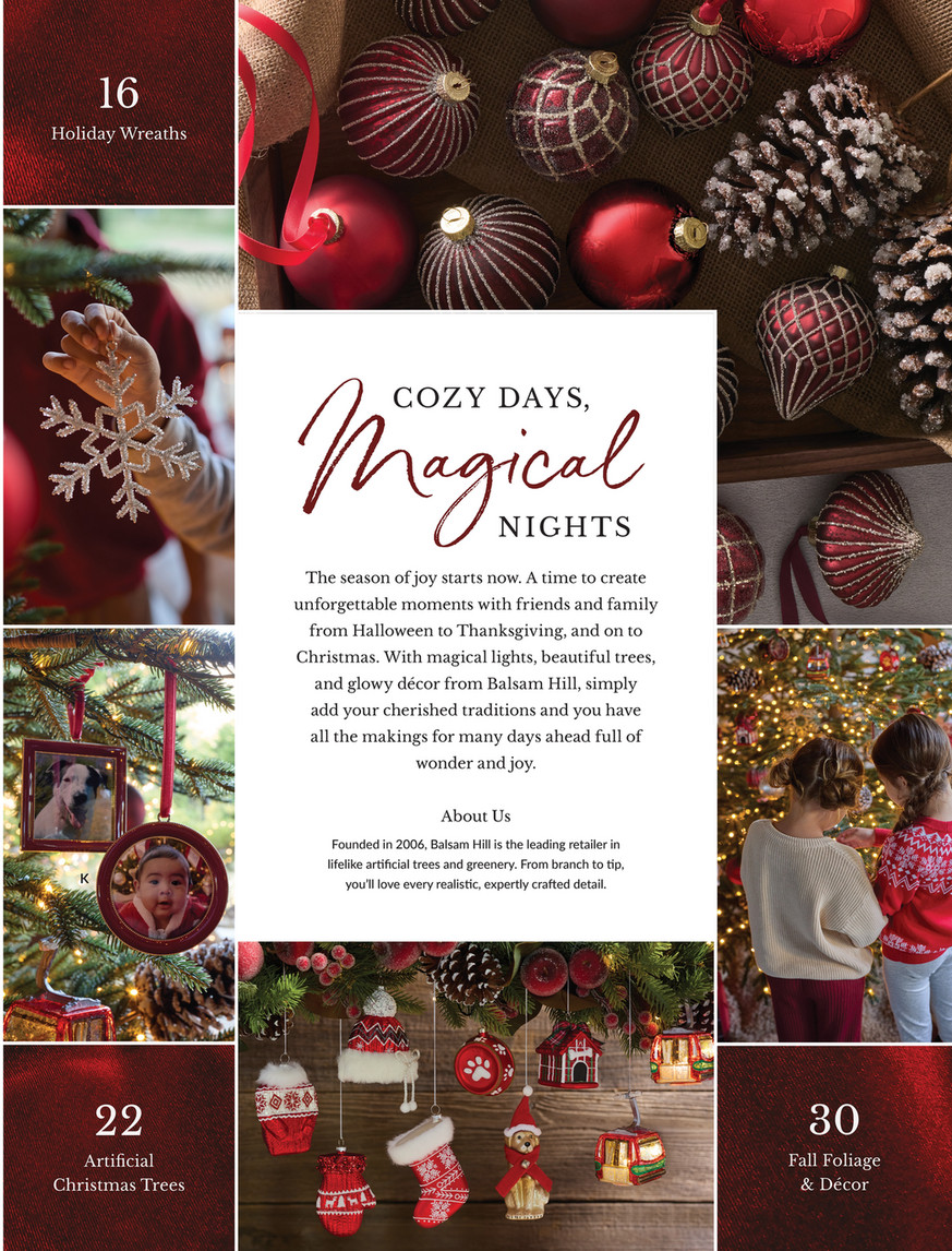 Balsam Hill - 2024 Fall 2 - Alpine Adventure Dogs Felt Ornaments