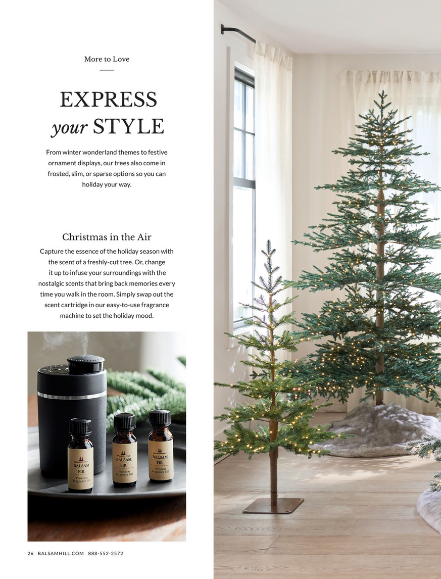 Balsam Hill - 2024 Fall 2 - Alpine Balsam Fir