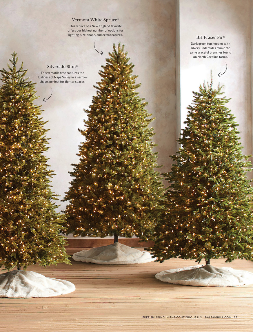 Balsam Hill - 2024 Fall 2 - 10' Outdoor Cedar Lodge Garland