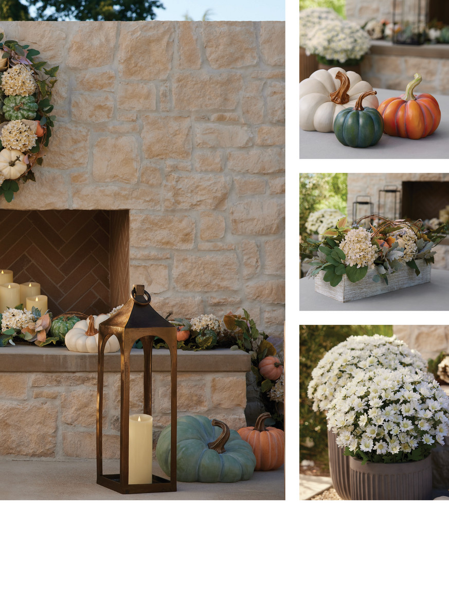 Balsam Hill - 2024 Fall 2 - 24