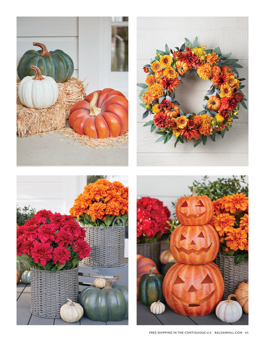 Balsam Hill - 2024 Fall 2 - Outdoor Life-Size Ghost Dog Candy Bowl