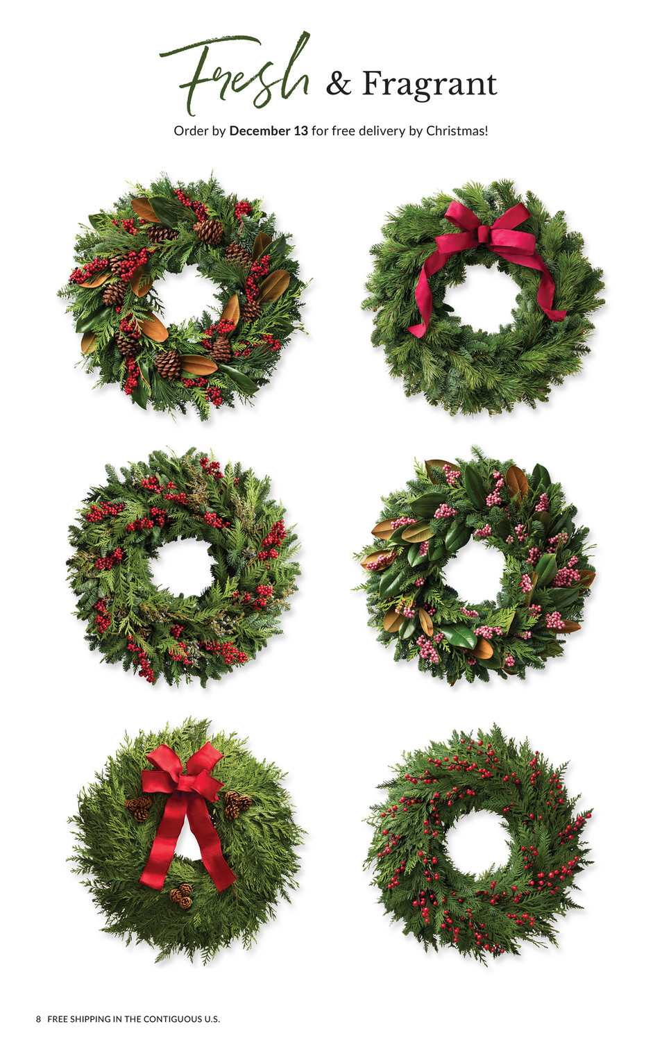 Balsam Hill - 2024 Holiday 3 - Bonne et Filou 24 Day Dog Treat