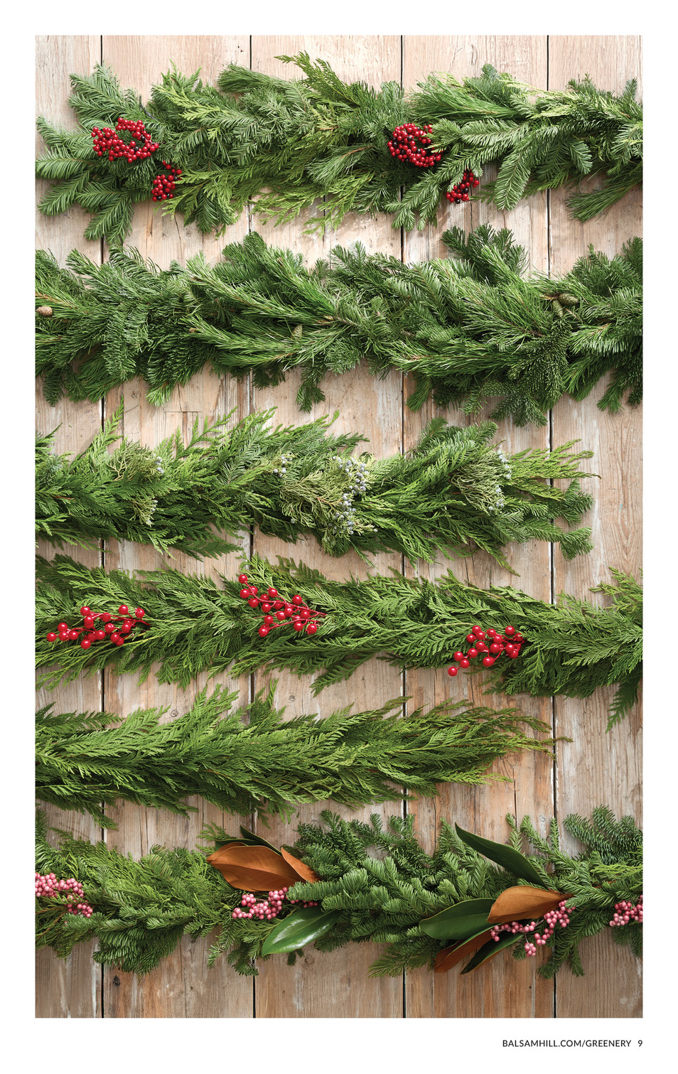 Balsam Hill - 2024 Holiday 3 - Bonne et Filou 24 Day Dog Treat